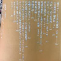 季刊銀花 1980年冬 第44号 文字絵 李朝の民画 結栞草