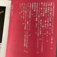 季刊銀花 1981年春 第45号 祈りの形象 神酒口 花は紅 柳は緑・中川一政の装丁