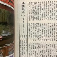 季刊銀花 1981年春 第45号 祈りの形象 神酒口 花は紅 柳は緑・中川一政の装丁