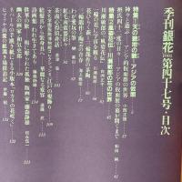 季刊銀花 1981年秋 第47号 天の貌地の貌 アジアの仮面 風姿花伝　川瀬敏郎の花の世界