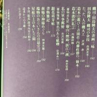 季刊銀花 1981年秋 第47号 天の貌地の貌 アジアの仮面 風姿花伝　川瀬敏郎の花の世界