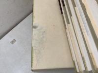 書道芸術 全20巻＋別巻全4巻 全24冊揃  