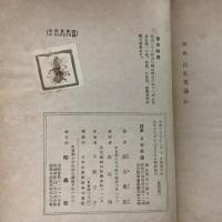 日本美論