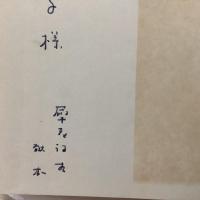随筆 続 女ひと