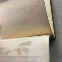 生ひ立ちの記 附・性に眼覚める頃 新潮文庫 第18編