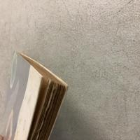 女の図 河出文庫特装版