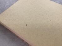 寛永諸家系図伝 全15巻＋索引1・2 全17冊揃