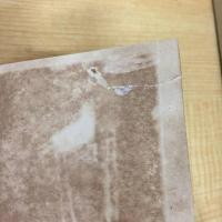 鯉 新興文芸叢書16  