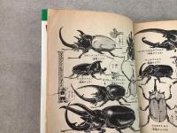 ミクロマン 全6巻揃 TVマガジン