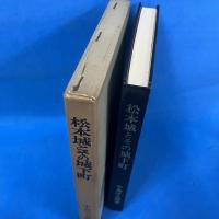 松本城とその城下町