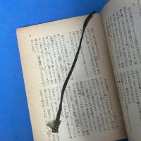 珍太郎日記 春陽文庫 （1953年）
