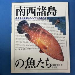南西諸島の魚たち　色色色の魚鱗きらめくサンゴ礁の海