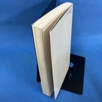 四柱推命入門 生年月日時が証すあなたの運命 (プレイブックス）