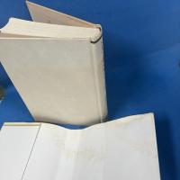 ドストエフスキ-・ノ-ト: 『罪と罰』の世界