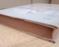 妖姫 玉藻前　附・修善寺物語