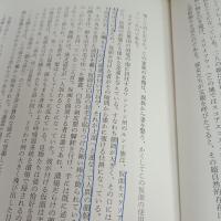 仮面の道 (叢書創造の小径)