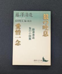 狼の吐息/愛憎一念 藤澤清造 負の小説集 (講談社文芸文庫)