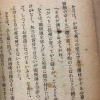 夢は枯野を　平和確立版