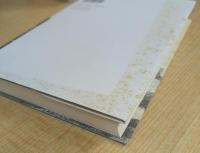 デューラーとその故郷