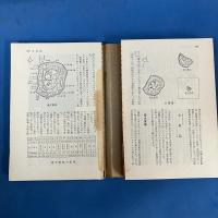 離島の大物釣り 全