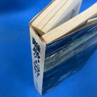 離島の大物釣り 全