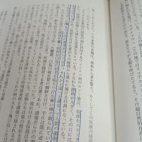 仮面の道 (叢書創造の小径)