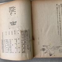 乳房哀記