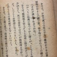 夢は枯野を　平和確立版