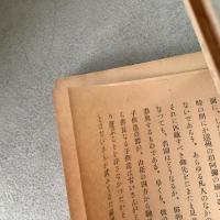 随筆 泥孔雀