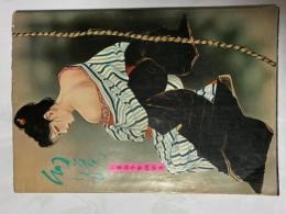 幻鏡　小妻容子緊縛画集