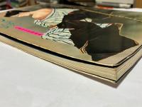 幻鏡　小妻容子緊縛画集