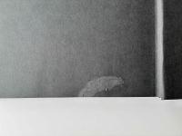 Halo   Rinko Kawauchi   （川内倫子）