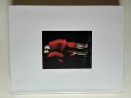 REI KAWAKUBO/COMME DES GARCONS(H) (Fashion Studies)