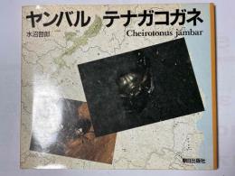 ヤンバルテナガコガネ