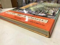 目で見る所沢・狭山・入間の100年