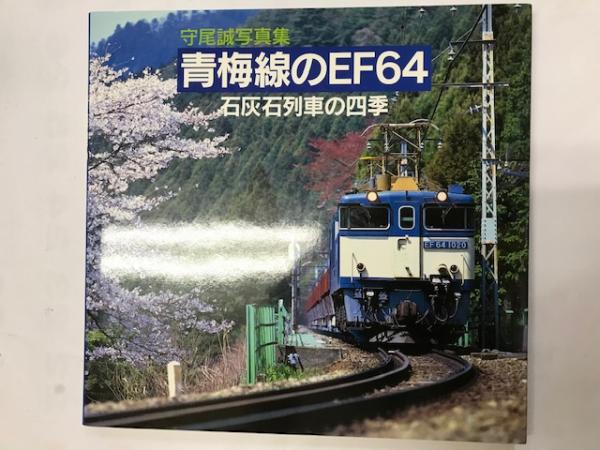 鉄道写真 青白いトーン 高品質印刷 N) 鉄道コレクション JR 105系 桜井・和歌山線(W11編成・青色) 2