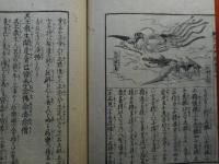 阿弥陀経和訓図会　3冊揃　天保15年