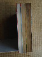まぼろしパンティ　全3冊　新書判