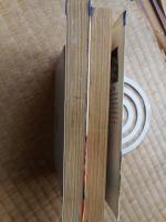 うわさの先公　全2冊　B6判