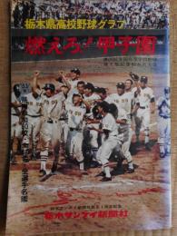 栃木県高校野球グラフ　昭和53年　燃えろ甲子園