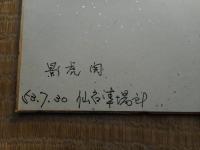 力士色紙　影虎