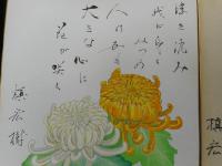 槙宏樹色紙　2枚