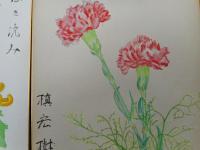 槙宏樹色紙　2枚