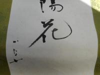 長谷川かな女　軸書幅　「山紫陽(やまあじさい)」