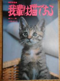 写真集　我輩は猫である