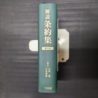 解説 条約集　第10版