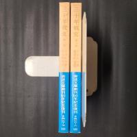 三十年戦史　2冊揃　岩波文庫