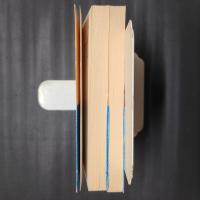 三十年戦史　2冊揃　岩波文庫