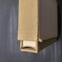 NAMU DAI BOSA　A TRANSMISSION OF ZEN BUDDHISM TO AMERICA