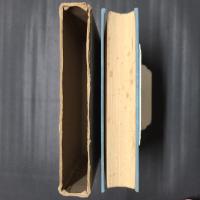 宇宙の声としての仏教